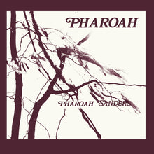 Load image into Gallery viewer, Pharoah Sanders - Pharoah Box Set (Incl. Harvest Time Live 1977)