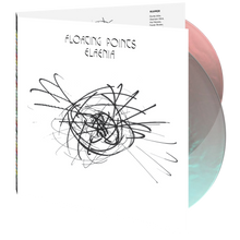 Load image into Gallery viewer, Floating Points - Elaenia