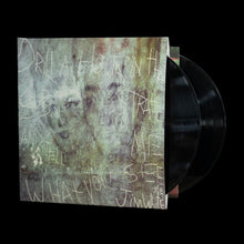 Load image into Gallery viewer, Jim White - Drill A Hole In That Substrate And Tell Me What You See