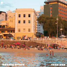 Load image into Gallery viewer, Moreno Veloso - Coisa Boa