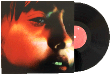 Load image into Gallery viewer, Delicate Steve - Positive Force