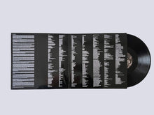 Load image into Gallery viewer, ANNIE &amp; THE CALDWELLS - Can’t Lose My (Soul)
