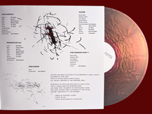 Load image into Gallery viewer, Floating Points - Elaenia
