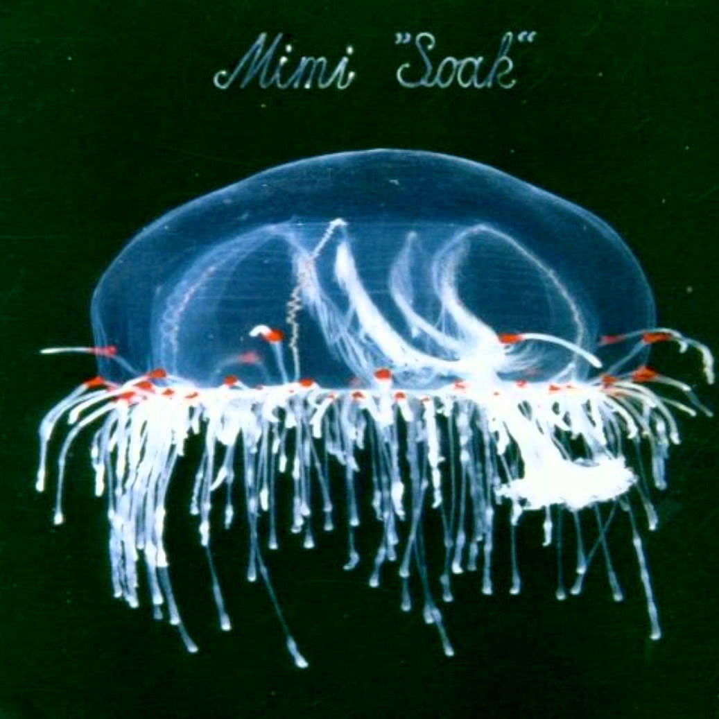Mimi - Soak